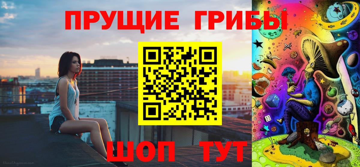 Галлюциногенные грибы Psilocybine cubensis Иркутск