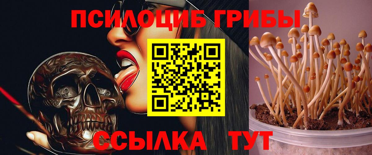 наркота  Вход с VPN  Иркутск  Псилоцибиновые грибы MAGIC MUSHROOMS 
